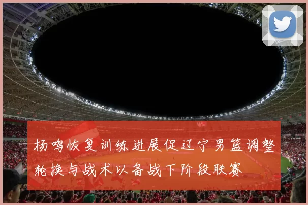 杨鸣恢复训练进展促辽宁男篮调整轮换与战术以备战下阶段联赛