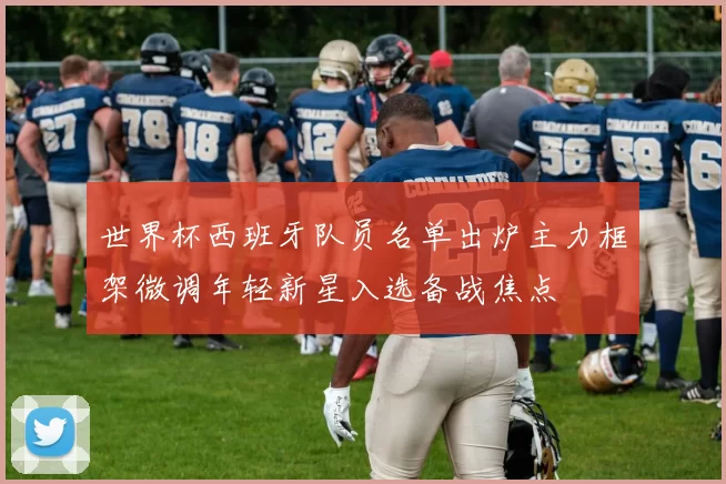 世界杯西班牙队员名单出炉主力框架微调年轻新星入选备战焦点