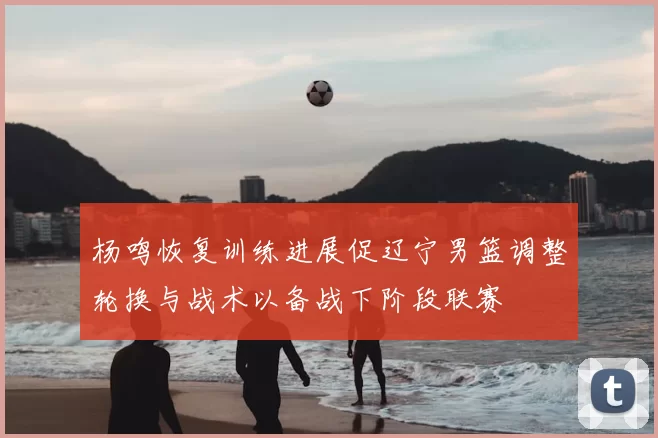 杨鸣恢复训练进展促辽宁男篮调整轮换与战术以备战下阶段联赛